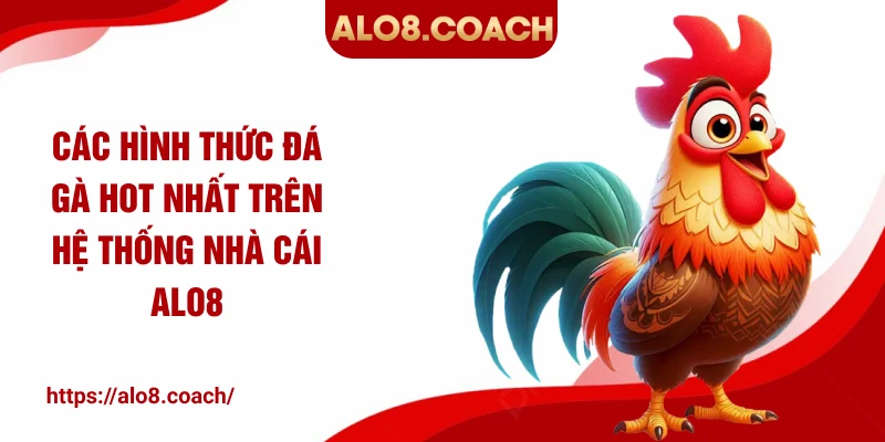 Các hình thức đá gà hot nhất trên hệ thống nhà cái ALO8