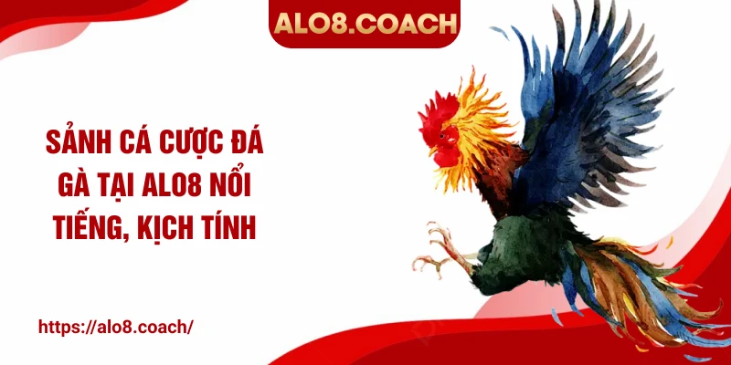 Sảnh cá cược đá gà tại ALO8 nổi tiếng, kịch tính